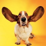 listen